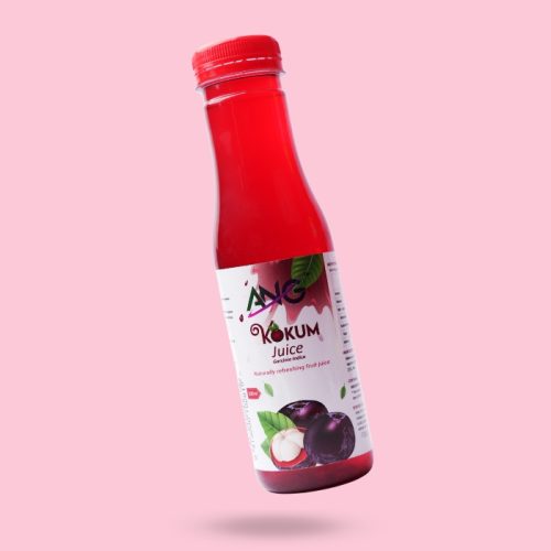 kokam-mangosteen-juice-250ml-1
